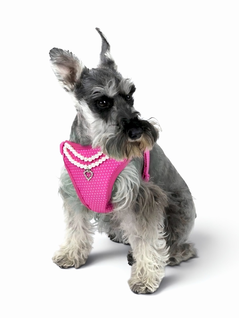 Vibrant Life Pink Polka Dot Pearl Necklace Dog Harness